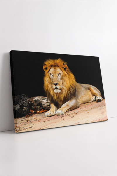 KOSS Dijital Πορτρέτο λιονταριού που ξαπλώνει σε μια βράχιστη ανώτερη οροσφαί...