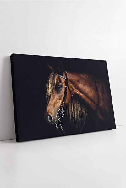 KOSS Dijital Horse Portrait on Dark Background Canvas Painting Elegant Light ...