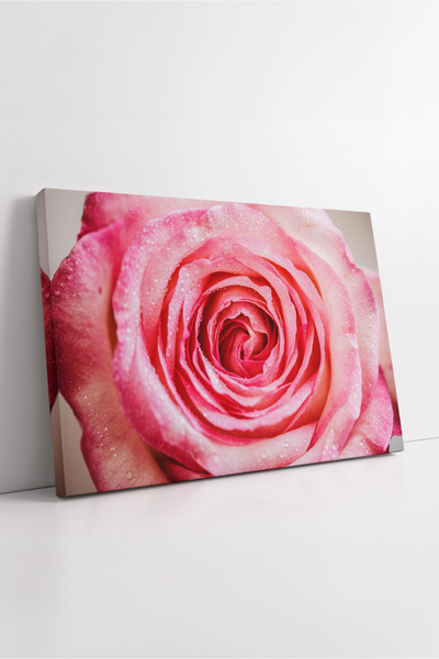 KOSS Dijital Ροζ τριαντάφυλλο με μακροσκοπική λήψη, λεπτομερή ζωγραφική σε κα...