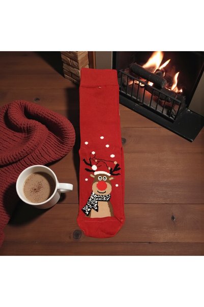Denseden 10-Piece Christmas Gift Set Individually Boxed – Stylish and Christmas-Themed Christmas Gift Socks