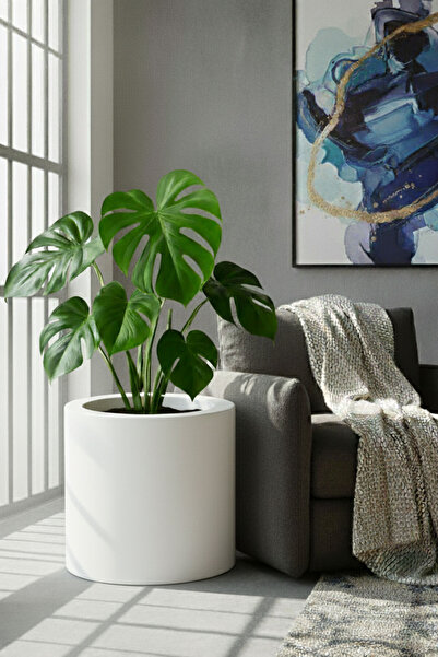 DEQQU Aura Cylindro 40x40cm Fiber Silindir Saksı - Mat - Büyük Saksı - Üst Aç...