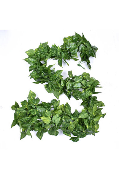 Ruyidecor Set de 5 Ghirlande de Frunze Artificiale - Lungime Totală 2.4m per ...