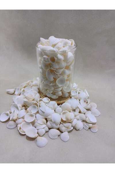 Royall Craft 100 gr Natural Minik Deniz Kabuğu – Clam Rose Cochles- Küçük| De...