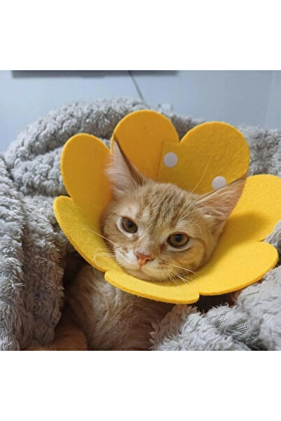 lowell home Pet XL Size Felt Elizabeth Collar