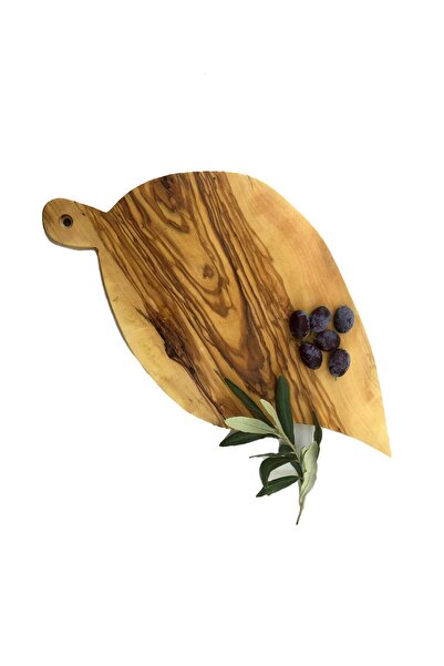 Saatistan Stylish and Modern Pointed Leaf Design Presentation Board