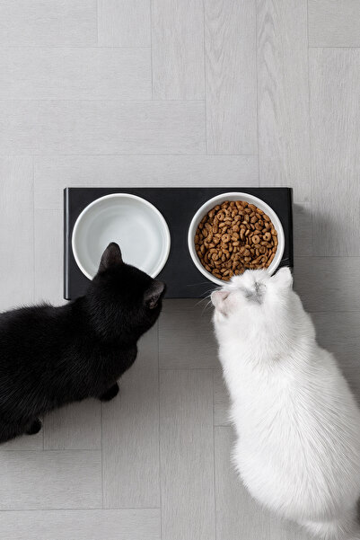 GOBYPET 2'li Siyah Pleksi Kedi Ve Köpek Seramik Mama & Su Kabı Paspas Hediye