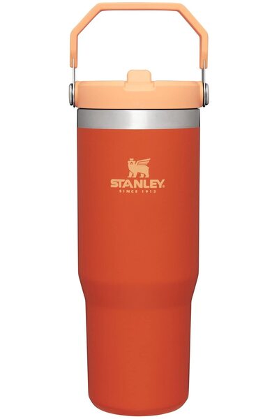 Generic Stanley IceFlow Stainless Steel Tumbler with Straw (Tigerlily) - 30 oz Vacuum Insulated