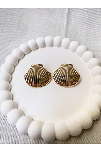 Bade Oyster Sea Shell Shell Model Steel Women's Earrings