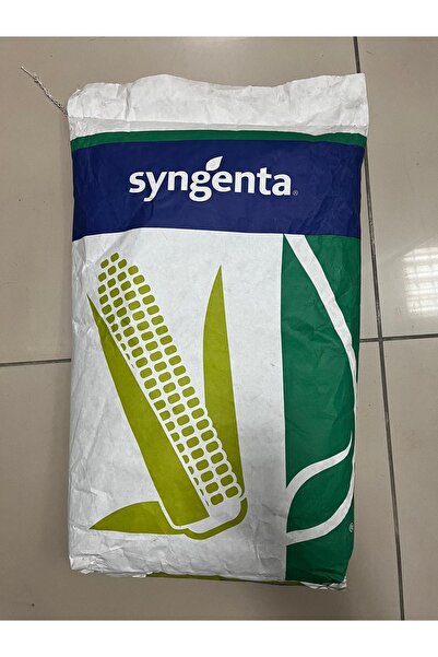 SYNGENTA SY Sandro Mısır Tohumu