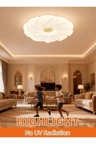 modi Modern LED Ceiling Light 80W, 3 Color Changing Flush Mount Fixture, 6000...