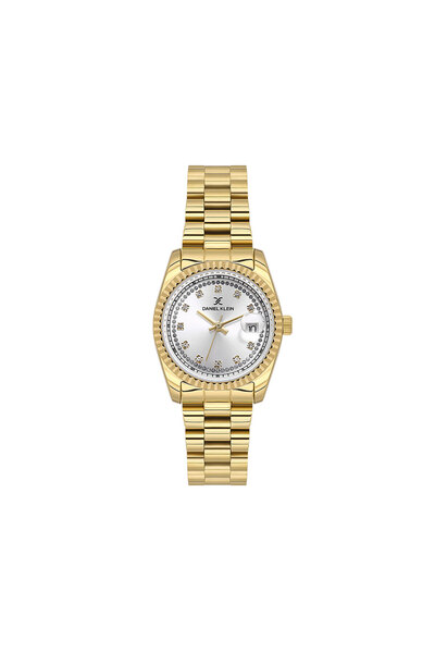 Daniel Klein Premium ladies watch DK.1.13924.3