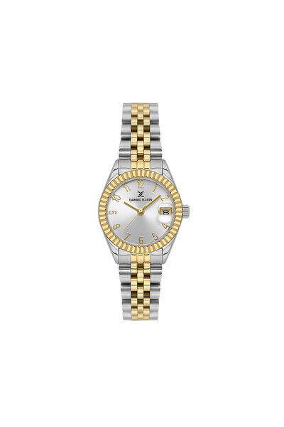 Daniel Klein Premium ladies watch DK.1.13969.3