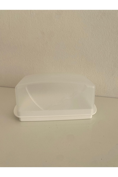 Tupperware Tereyaglik (or Tereyaglik) Is a Noun That Refers to a Certain Type...