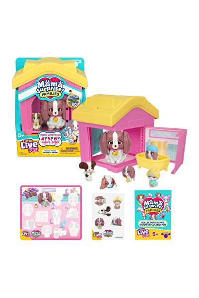 lowell home عائلة ميشيل فان باتي