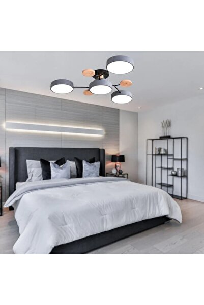 OEM Modern Chandelier with Remote Control 3000K-6500K Erinor