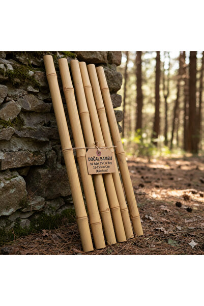 TROPİKYUM DOĞAL BAMBU 10 Adet 75 Cm Boy 12-15 Mm Çap (Kabuksuz)