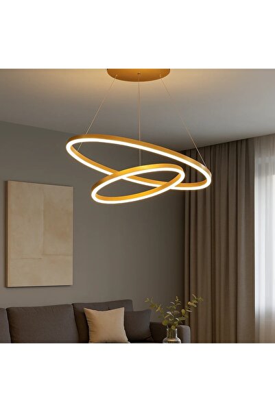 OEM Modern LED Pendant with 2 Hanging Circles Adjustable Light 3000K–6500K wi...