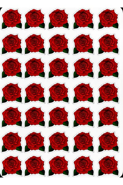 BENİMSER REKLAM Kırmızı Gül Sticker Seti – 22x30 cm – Parlak & Suya Dayanıklı