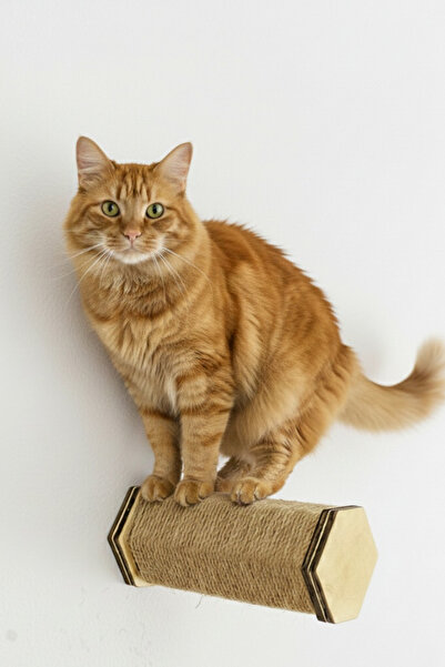 CatraWorks Hexagonal Cat Scratching Board, Wall-Mounted Climbing Track Scratching Tube