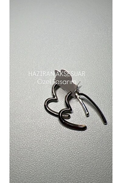 Haziran Accessory Heart Model, Dangling Ring Shape Steel Silver Women's Earrings