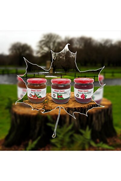 Ziraat Tarım ŞEKER İLAVESİZ KUŞBURNU+KIZILCIK+ALIÇ MARMELATI 450 Gr (3lü SET)