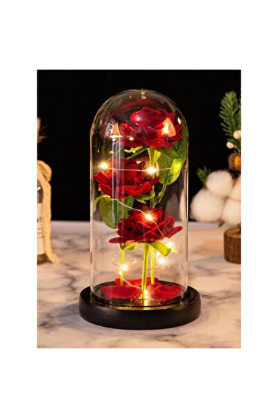 Fatio Valentine's Day Rose Gift for Her – Rose Dome with Petals and Black Base