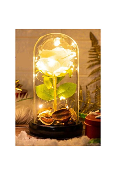 Fatio White Enchanted Rose in Glass Dome – Gift for Women, Girlfriend, Valent...