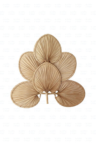 NATUREL DEKOR Bohem Palmiye Yaprağı, Japon Yelpazesi 6 ADET 30x40 cm, Duvar Dekorasyon, Duvar Süsü