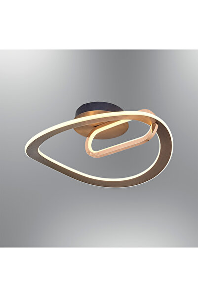 Özcan Aydınlatma 5729-1 Supaza Tekli Plafonyer 50 Platin