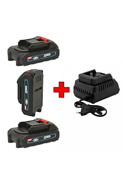 German Meister 3 x Mini Batteries, 36 V, 6 Ah + Charger