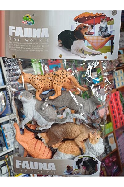 OYUNCAKSAHİLİ Evcil Hayvanlar Seti Kedi 6 Tane Büyükboy Kirilmaz Kaliteli Cin...