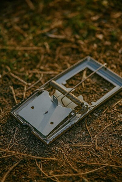 Bybaykuş Saç Kapan