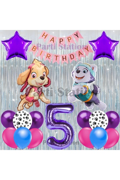 Parti Station Paw Patrol Skye and Everest Concept 5 Year Old Birthday Silver ...
