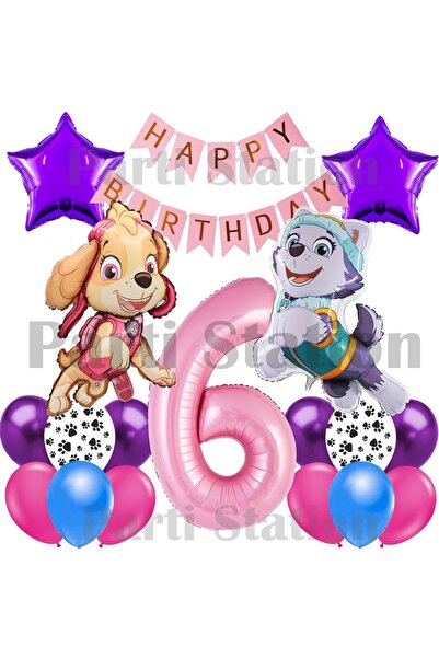 Parti Station Paw Patrol Skye and Everest Concept 6Th Birthday Party Balloon Set