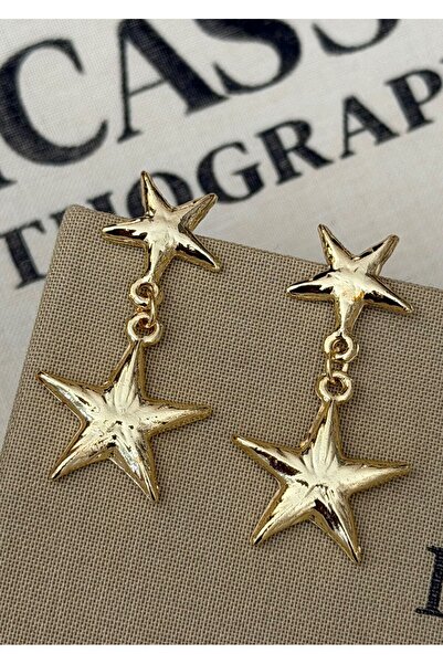MioArt Polar Star Dangle Earrings