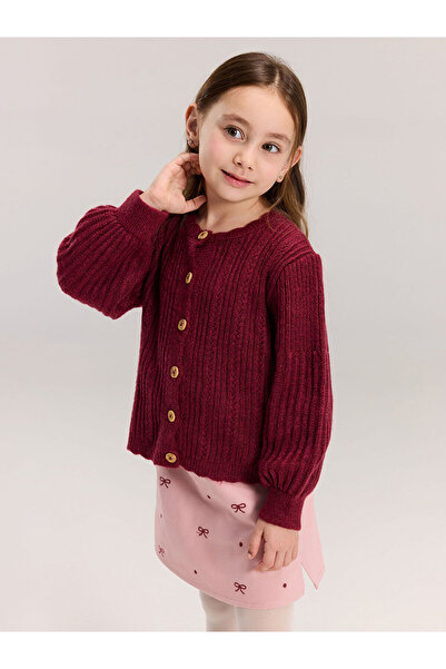 LC Waikiki Vizyon New Season Crew Neck Long Sleeve Girls' Cardigan