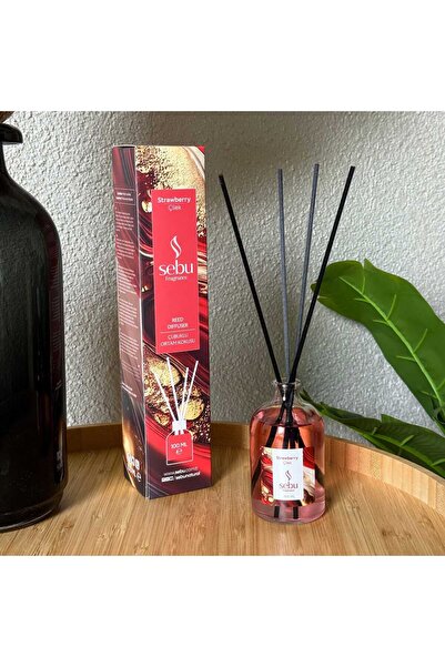 Evanev Sebu Çubuklu Ortam Kokusu Çilek 100 ml