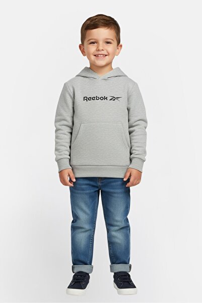 Reebok Toddlers Boy Brand Logo Long Sleeve Outdoor Hoodie, Grey
