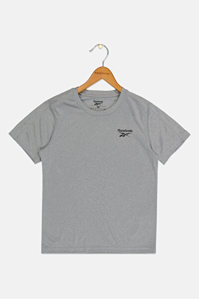 Reebok Kids Boy Short Sleeve Outdoor T-Shirt, Grey