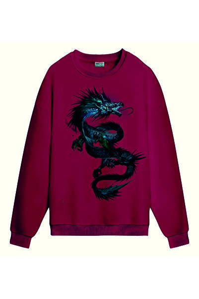 PİXELİA Dragon Printed Sweatshirt