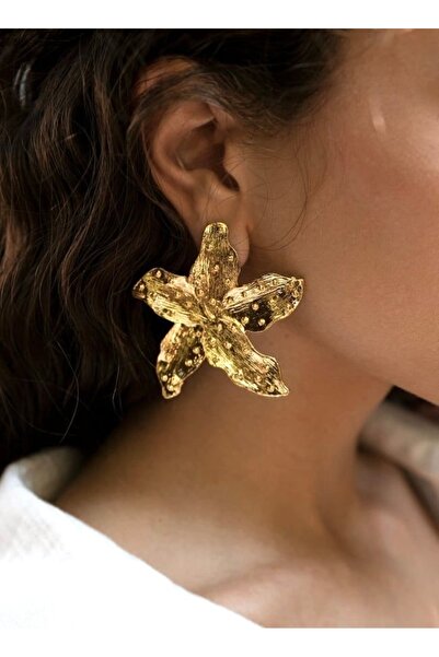 GLOW ACCESSORIES BAE أقراط ذهبية على شكل نجمة موديل زرا