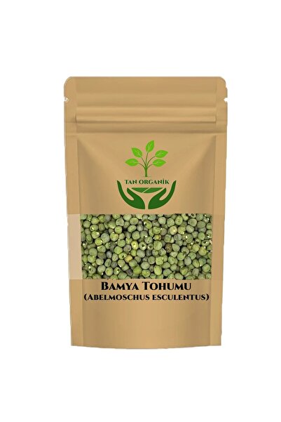 tan organik Okra Seeds 40Gr