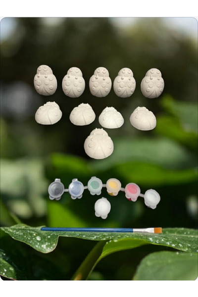 PESA PeSaPe ArT 10' lu uğur böceği boyama seti Taş vernik hediyeli