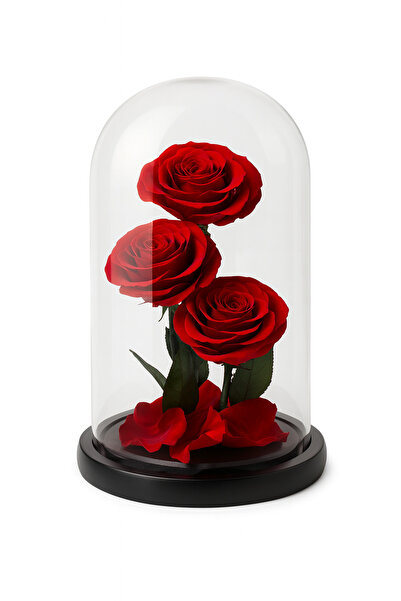 OEM Cryogenic roses under glass dome, 3 red flowers, premium gift 23x14 cm