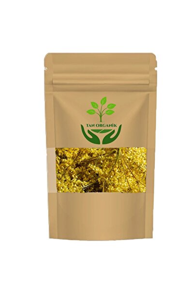 tan organik Hawthorn Flower Sambucus Nigra L 40Gr