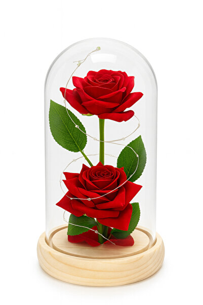 OEM Dome with 2 Red Plastic Roses with LED Lights and Premium Wooden Base
