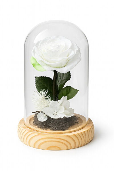 OEM Glass dome with white cryogenic rose, wooden base, elegant arrangement 12...