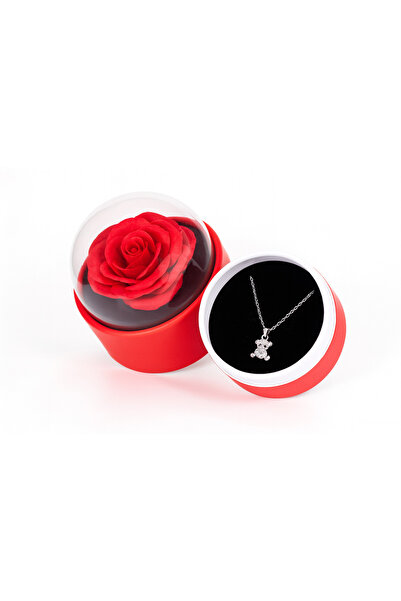 OEM Gift box, rose under transparent dome