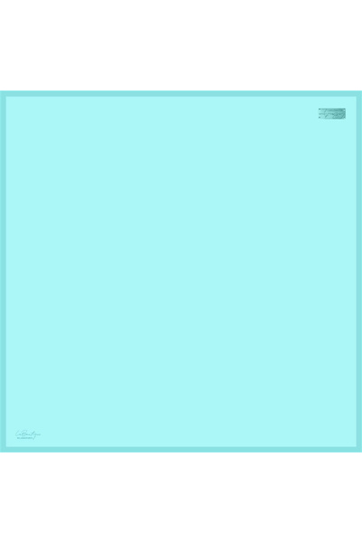 LA BOUTIQUE PLAIN COLOR SURA SILK - 60 - 90X90