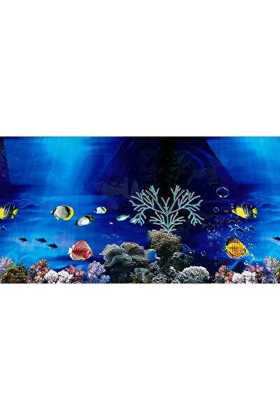 canlipetshop Arka Fon No:9094 (Deniz Akvaryumu) 50 cm Uzunluk 30 Cm Yükseklik